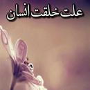 هدف از خلقت انسان از ديدگاه قرآن و عقل چه مي‌باشد؟