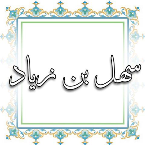 «سهل بن زیاد» از نظر رجالی چگونه است؟