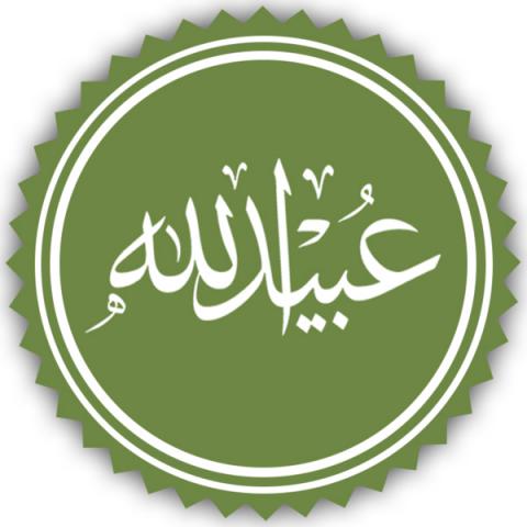 عبیدالله بن حر جعفی که بود؟ امام حسین(علیه السلام) چند مرتبه از وی تقاضای کمک کردند؟ آیا امام حسین(علیه السلام) به وی اصرار کردند؟