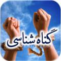 گناه، آثار گناه و راه مقابله ملاک در گناهان صغیره و کبیره، آثار گناه و راه های مقابله با گناه چیست؟