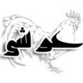منظور از خروس عرشی یا خروس آسمانی در روایات چیست؟ سند و دلالت این روایات صحیح است؟ خروس عرشی، خروس آسمانی