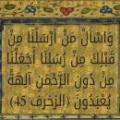 سؤال از پیامبران؟ «وَاسْأَلْ مَنْ أَرْسَلْنَا مِنْ قَبْلِكَ مِنْ رُسُلِنَا أَجَعَلْنَا مِنْ دُونِ الرَّحْمَنِ آلِهَةً يُعْبَدُونَ» الله در بخشِ اول از آیه بالا، به رسولِ اسلام می فرماید: و از رسول های ما که پیش از تو فرستادیم سوال بپرس. بر اساس آیه فوق، این رسولان، باید در زمانِ رسولِ اسلام، زنده بوده باشند تا رسولِ اسلام بتواند از آن ها سوال بپرسد؛ این رسول ها چند نفر بودند؟ و نامِ هر کدام از این رسول ها چه بوده است؟