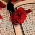 آيا درست است كه در قرآن از عشق و محبت نامي برده نشده است؟