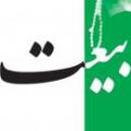 بیعت با امام علی ع . اگر علی خلیفه بود، چرا می گوید: دیگری را بجویید.؟
