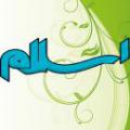 اسلام در قرآن آیا اسلامی که در قران آمده دین اسلام است؟