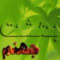 مكان مادي بهشت و جهنم مكان مادي بهشت و جهنم کجاست؟