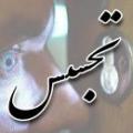 معنای تجسس فرضی که بنده عرض کردم حکم تجسس رو داره که در قران کریم ازش گفته شده است ؟