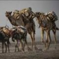 توقیف کاروان تجاری قریش چرا پیامبر و یارانش می خواستند کاروان تجاری قریش را توقیف کنند؟