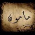 مرگ مأمون مرگ مامون چگونه اتفاق افتاد؟