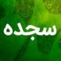 سجده سایه ها تفسیر آیه 48 سوره نحل، در خصوص سجده سایه ها را توضیح دهید؟