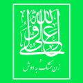 زن مَشک به دوش و امام علی(ع) روایت امام علی (علیه السلام) و زن مَشک به دوش از نظر سندی و متنی چه اشکالاتی دارد؟