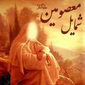 خصوصیات ظاهری معصومین(ع) خصوصیات ظاهری پیامبر(صلی الله علیه و آله) و ائمه (علیهم السلام) به طور مختصر چیست؟
