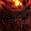 در قیامت به شکل حیوان صفات رذیله ای که در قیامت حیوان محشور می شوند چیست؟