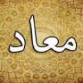 قرآن و سخن منکران معاد تفسیر این آیه چگونه است؟ منظور از نموت و نحیا چیست؟