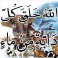 آفرینش حیوان و گیاه از چیست؟ در هیچ جای قرآن نیامده که نوع حیوانات و گیاهان اولیه از چه چیزی آفریده شده اند. آیا آن ها هم از گل و خاک آفریده شده اند یا از مواد دیگر؟