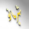 شهربانو همسر گرامی امام حسین (علیه السلام) آیا چنین مطالبی درباره حضرت شهربانو صحت دارد؟