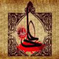 سجده عایشه برای شهادت علی (عليه السلام) آیا عایشه با شنیدن خبر شهادت امام علی (علیه السلام)، سجده کرده است؟