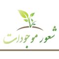شعور داشتن همه موجودات آیا همه موجودات حتی درختان و جمادات هم علم دارند؟ اگر دارند گستره آن چقدر است؟ آیا خدا را می شناسند؟ چه دلیلی بر چنین آگاهی ای داریم؟