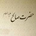 کشته شدن ناقه صالح چرا قوم حضرت صالح علیه السلام، ناقه ی او را که انتخاب خودشان بود کشتند؟!