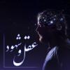 عقل و شهود این که شریعت عقل را به عنوان میزان برای گزاره های شهودی در نظر گرفته اند به چه معناست؟