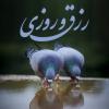 رزق و روزی چه مواردی در روزی دخیل و سهیم اند؟ آیا توکل بر خدا و رازق بودن خدا کافی است یا تلاش هم می خواهد؟