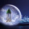 فلسفه غیبت امام زمان(عج) علت و هدف غیبت امام دوازدهم (عجل الله فرجه) چیست؟