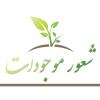 شعور داشتن همه موجودات آیا همه موجودات حتی درختان و جمادات هم علم دارند؟ اگر دارند گستره آن چقدر است؟ آیا خدا را می شناسند؟ چه دلیلی بر چنین آگاهی ای داریم؟